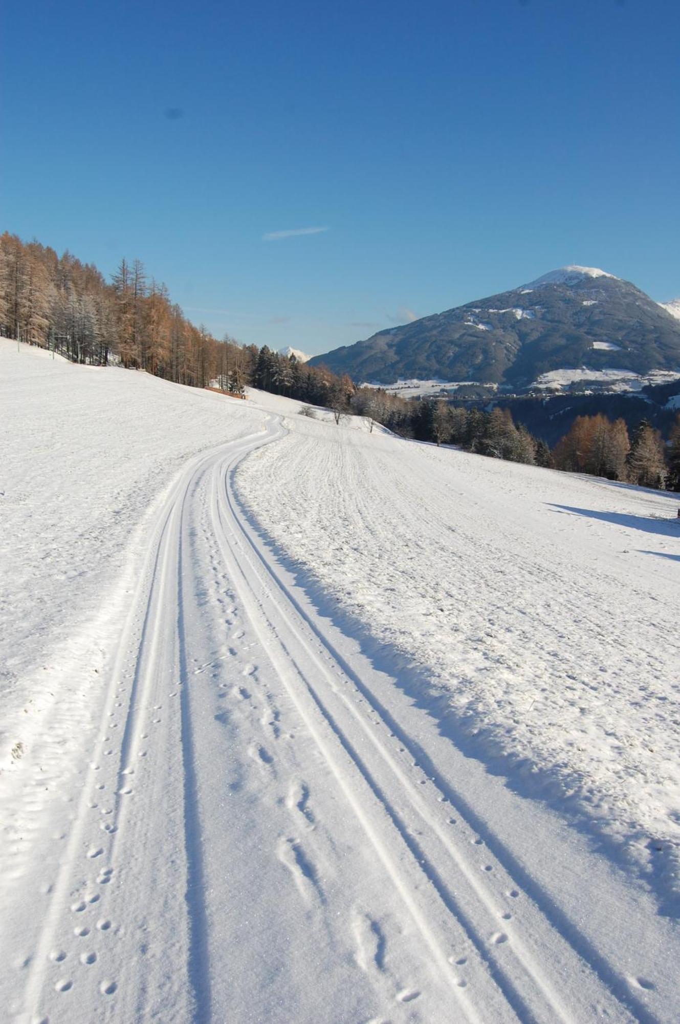 Ferienwohnungen Unterluimes Telfes im Stubai Exterior photo